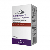 Сальмекорт аэр д/инг дозир 25мкг+250мкг/доза 120доз